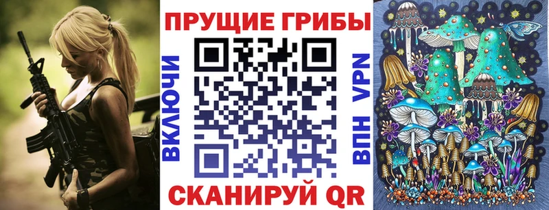 кракен маркетплейс  Сортавала  Псилоцибиновые грибы MAGIC MUSHROOMS  купить закладку 