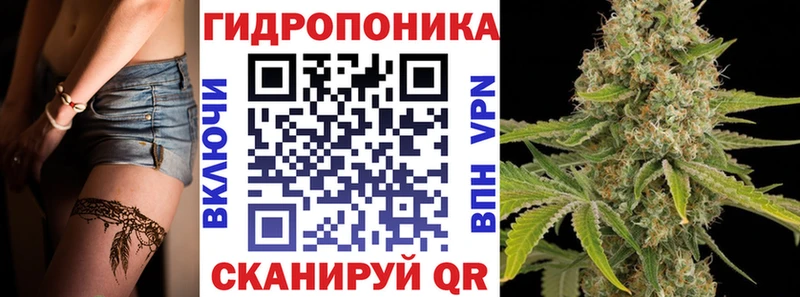 Марихуана план  Сортавала 